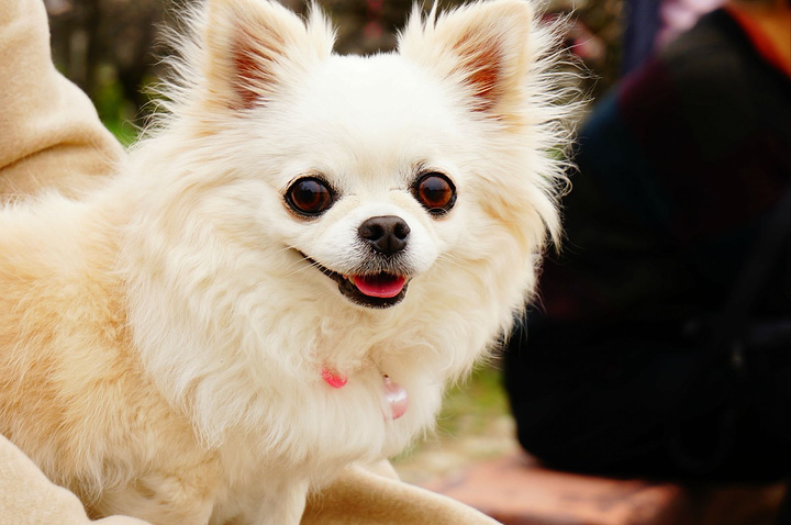2016丰臣秀吉统一日本后用三年时间建立的,后