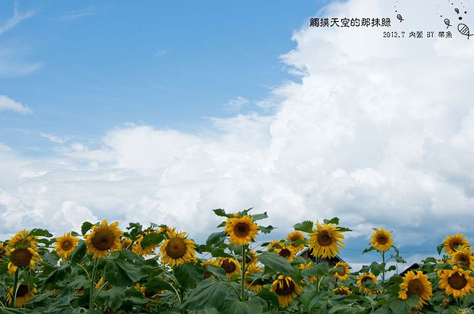 触摸天空的那抹--绿,呼伦贝尔纪实攻略