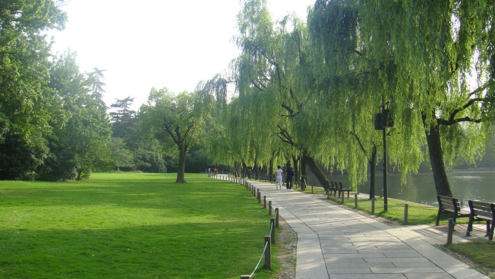 西湖文化广场到西湖_西湖香烟绿盒子多少钱_西湖的绿