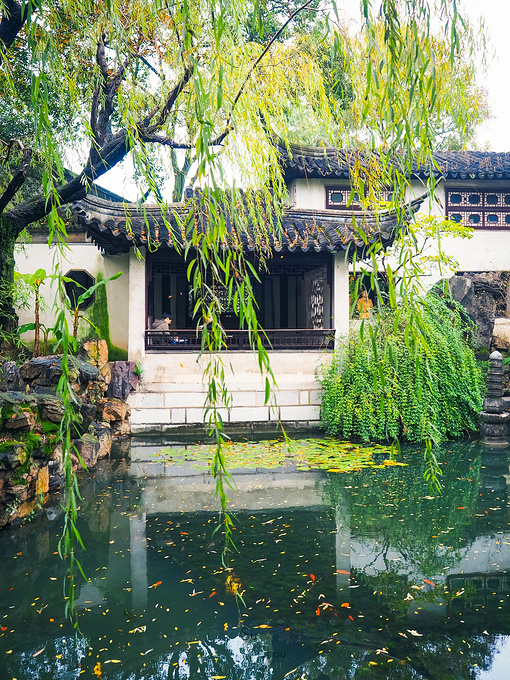 目对鱼鸟,水木明瑟.