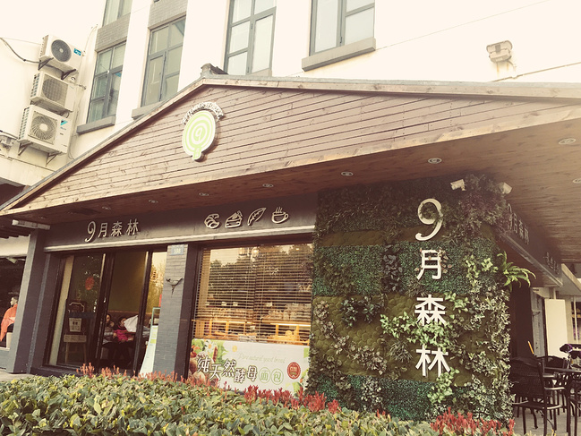 九月森林图片