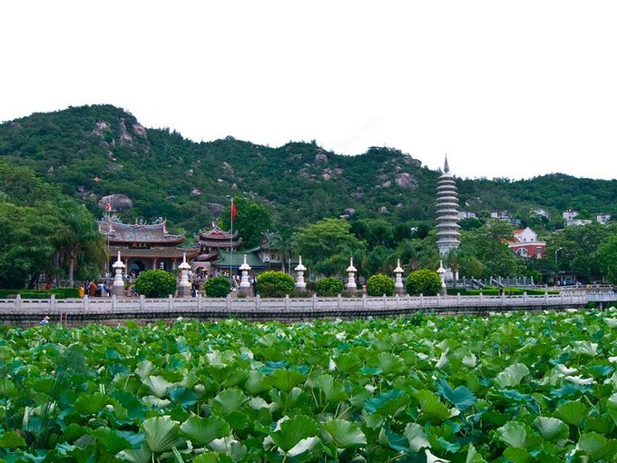 致我们终将逝去的攻略厦门自助游攻略_长沙v攻略青春厦门去广州自由行攻略图片