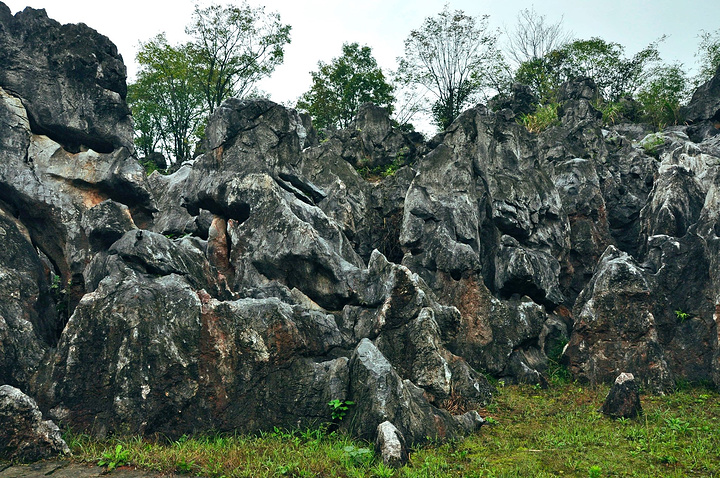 千岛湖石林是一个迷宫式的溶岩地貌景观,由蓝玉坪,玳瑁岭,西山坪组成.