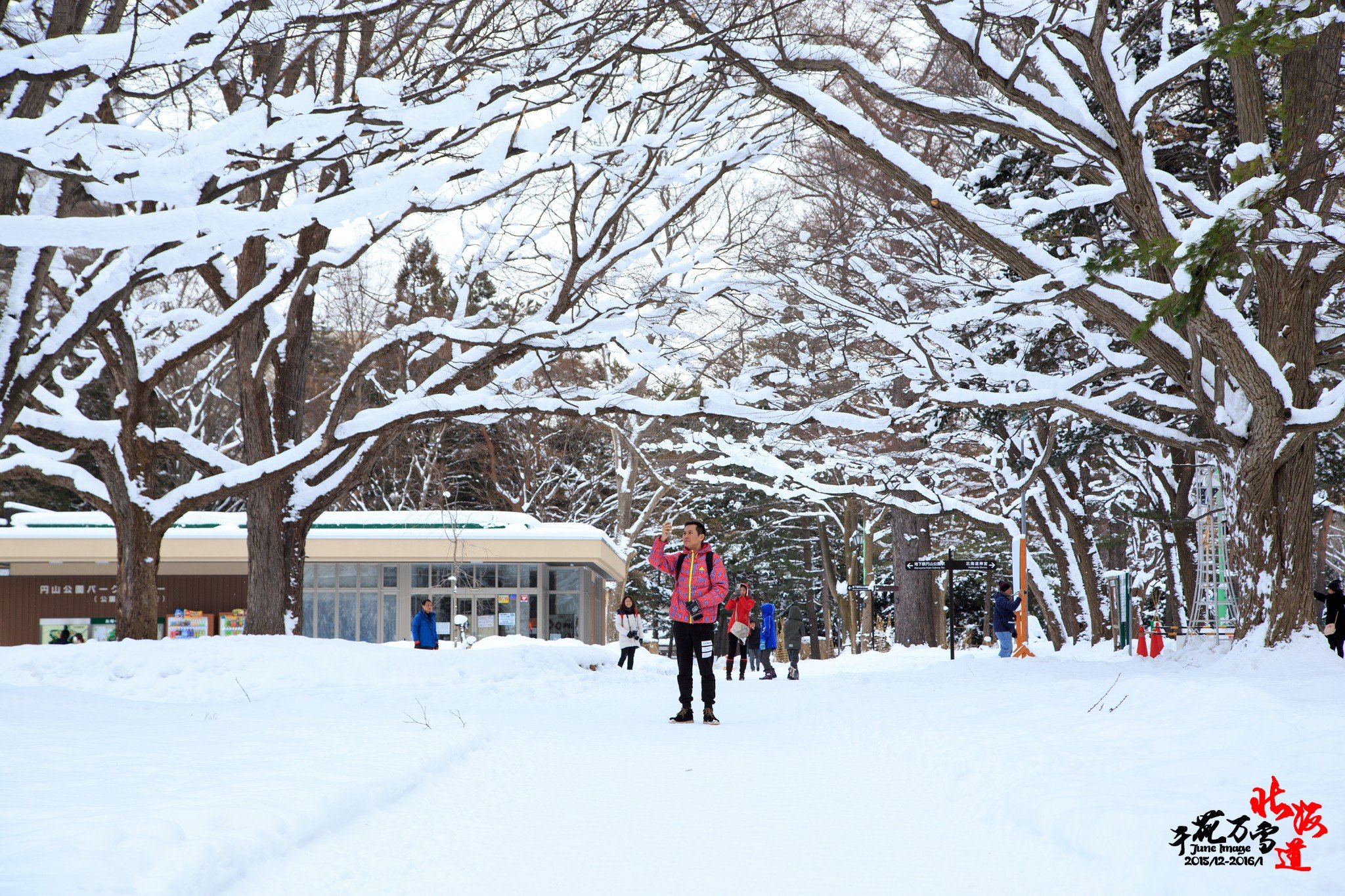 千花万雪北海道】小樽、札幌、洞爷、大沼、函假期一日游攻略图片
