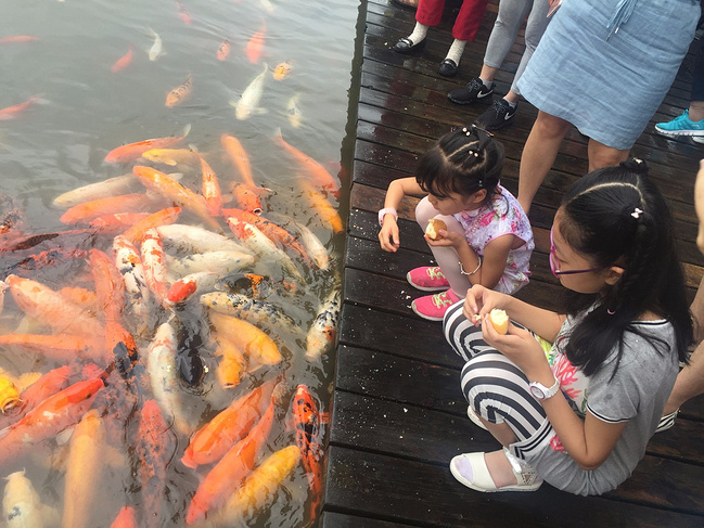 九寨沟-若尔盖亲子-成都-峨眉攻略游_辽宁旅游阿坝5.1旅游草原图片