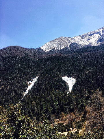 上了小木桥踏过辽阔草甸又穿了原始森林 走在悬崖边生怕被大风吹下去