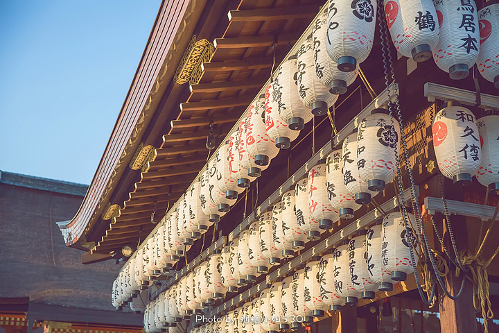 之前做攻略,八坂神社最吸引我的就是这一串灯笼,异常壮观,尤其樱花季