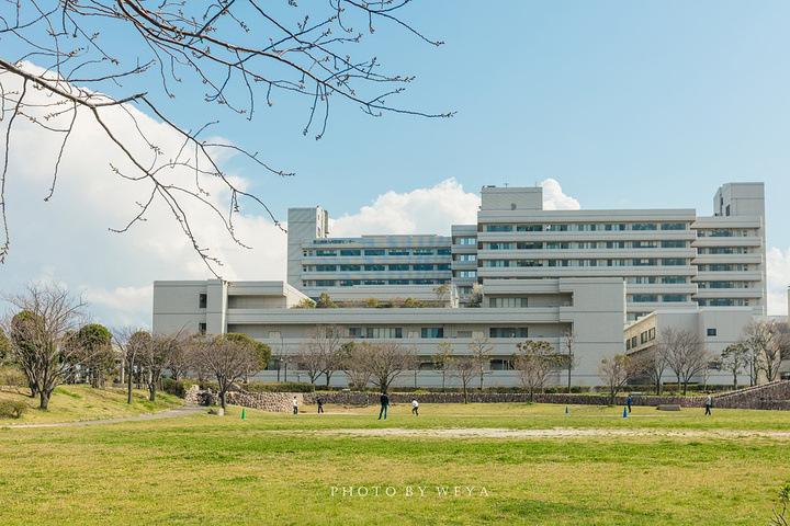 2019成都游玩行程,福冈攻略/住宿/美食/攻略/购福冈重庆自由行5天交通图片
