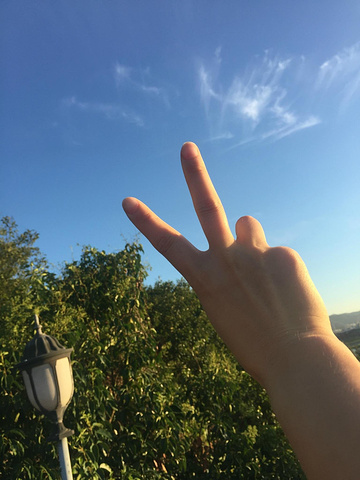 由于海岛上沙滩太小,海水不够干净,小朋友们意犹未尽,于是我们吃过