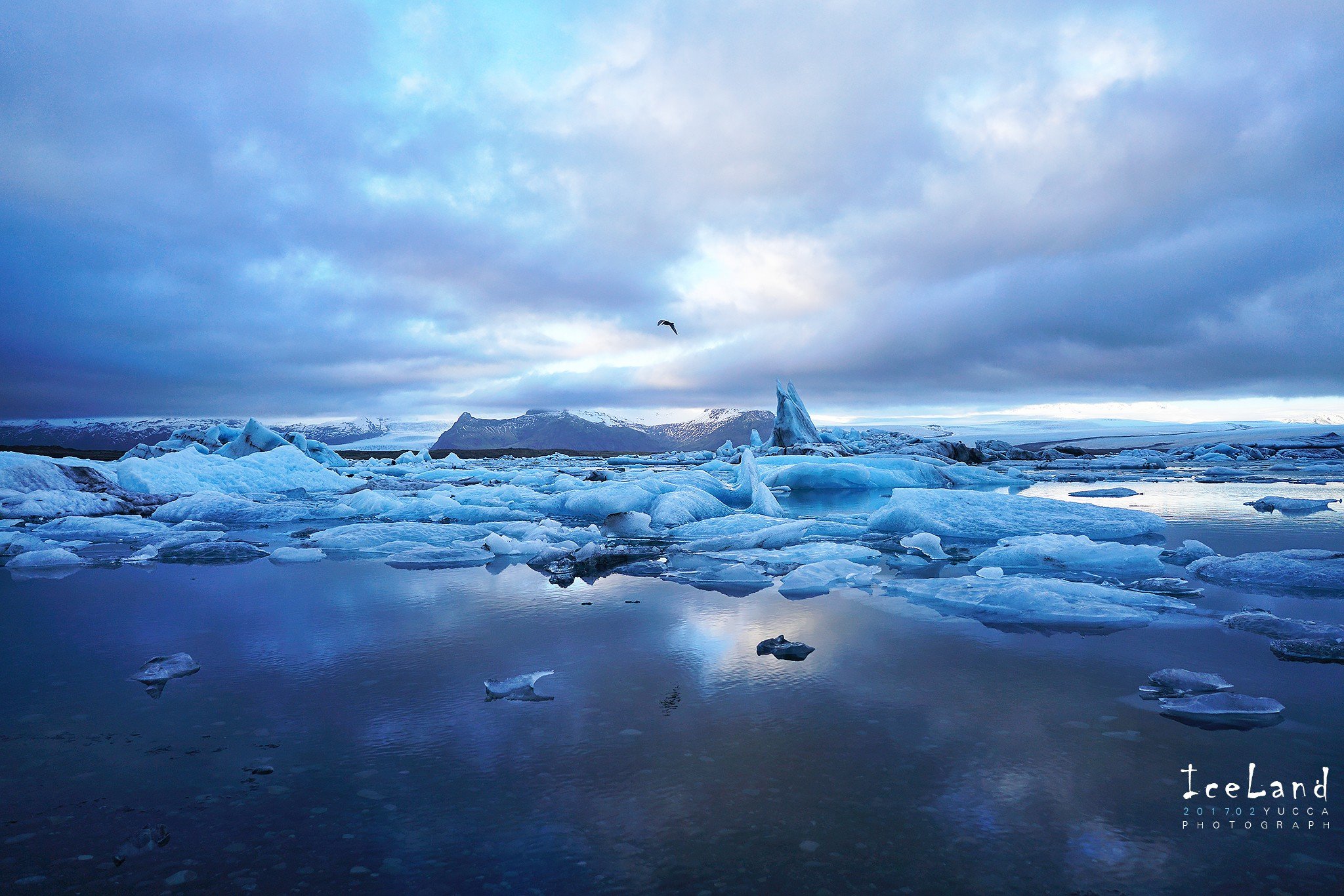 北极光婚纱照_北极光图片高清(3)
