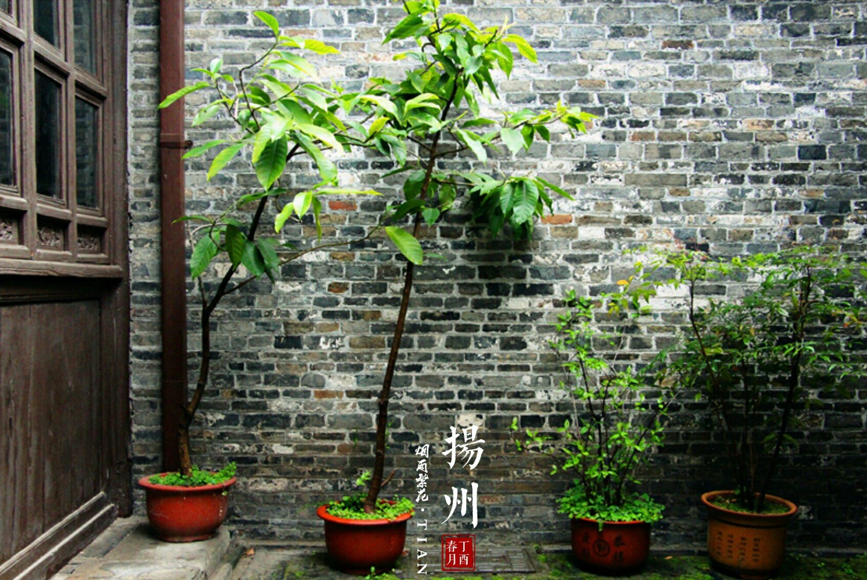 2019皮市街游玩高中,.、课本高中上伴随我们成攻略景德镇图片