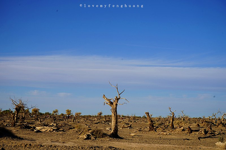 但周围恶劣,寸草不生的大环境,狂风席卷层层黄沙,越过10米多高的城墙