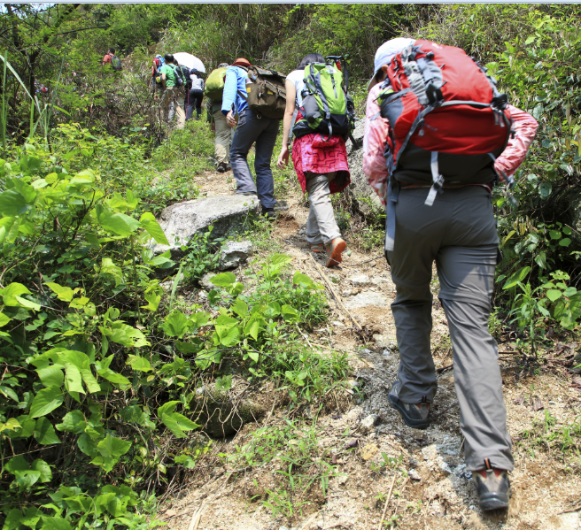 【山间探险之野外徒步】 说走就走的旅行,是属于人生的一次豪赌.