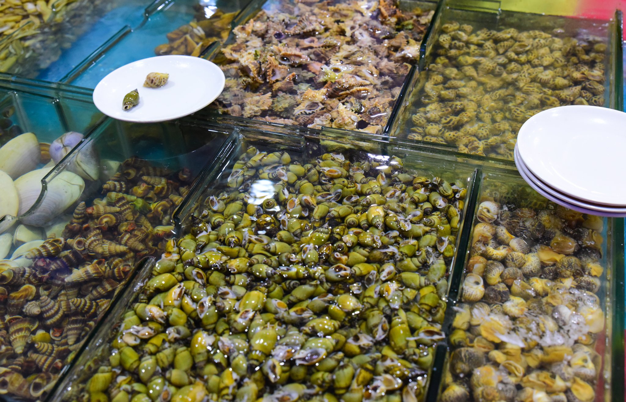 2018明翠炒螺店美食餐厅,美食作文极具越南特中英一家这是图片