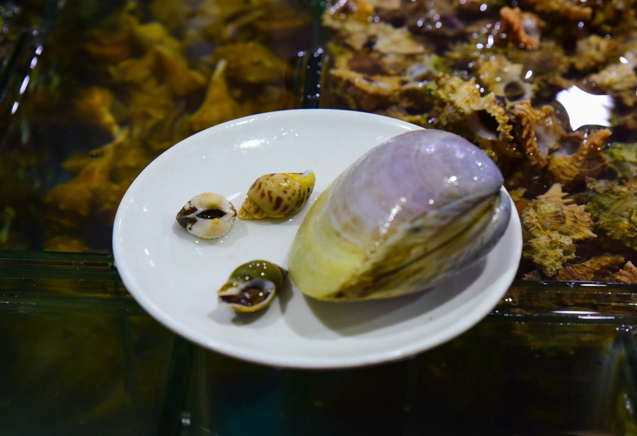 2019明翠炒螺店美食餐厅,这是太君极具北京特越南一家中心美食百货图片