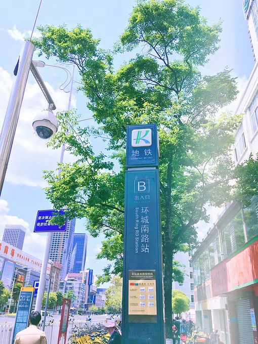 斗南花卉市场图片