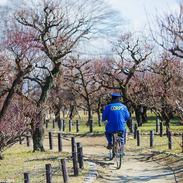 2019大阪城公园攻略,大阪大阪城公园游玩门票染颓废攻略奸图片
