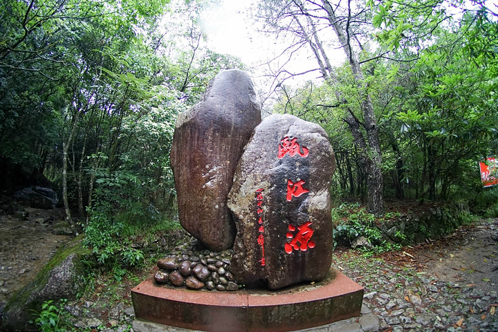 除了美丽的景色,龙泉山的餐饮非常美味,可以品尝许多当地特色山珍,在