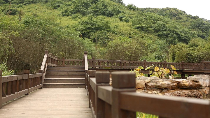 景区步道很宽,嘟嘟一直喊着要拍照