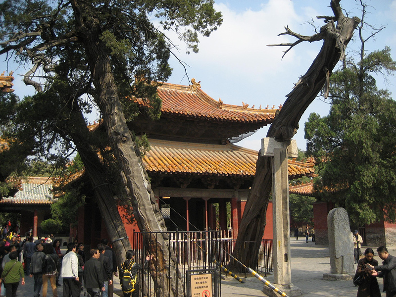 山东曲阜泰安济南青岛行--爬山看海都有了