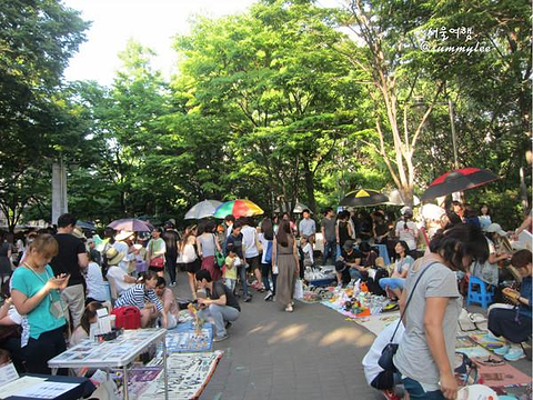 弘大自由市场旅游攻略_门票_地址_游记点评,首尔旅游景点推荐 - 去哪儿攻略社区