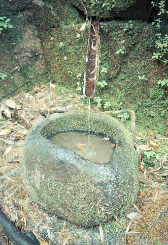 2015深幽凉爽,溪水声与鸟语声自然融合_大鄣