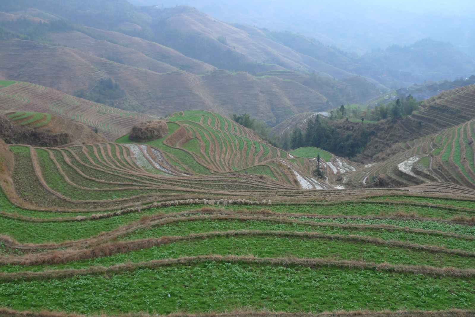 2013桂林、龙脊、阳朔美食之旅