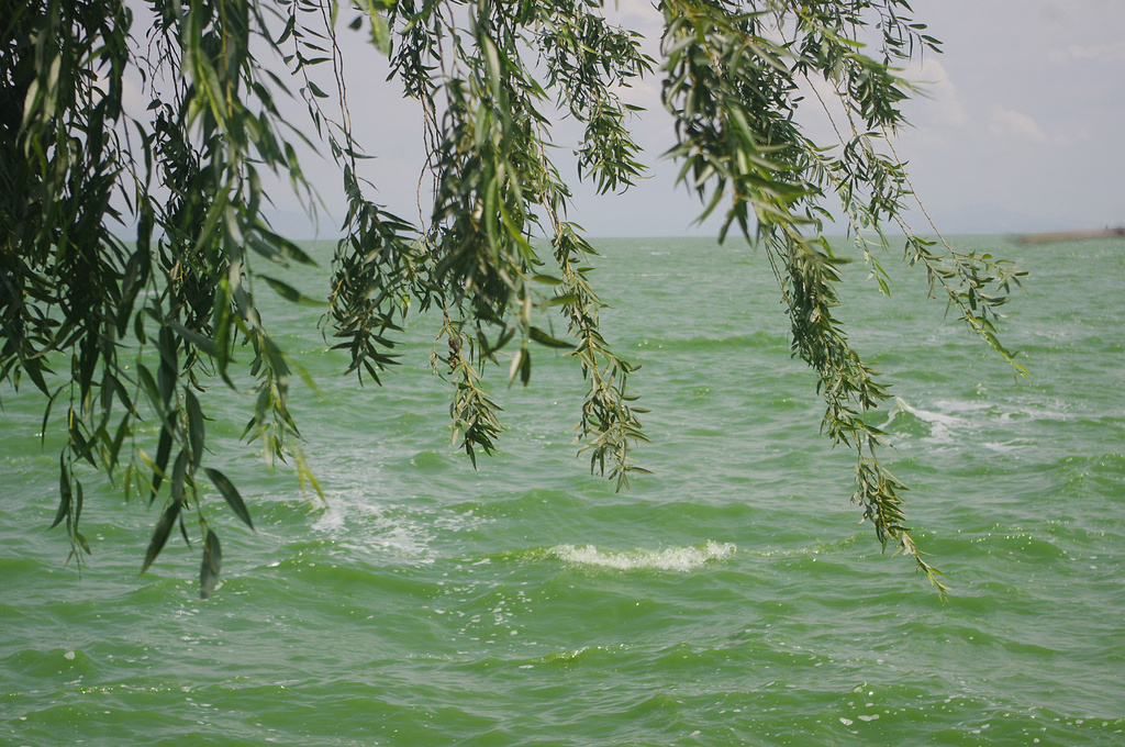 2014滇池(英文名Tien Lake,亦作Ti._滇池评论 -