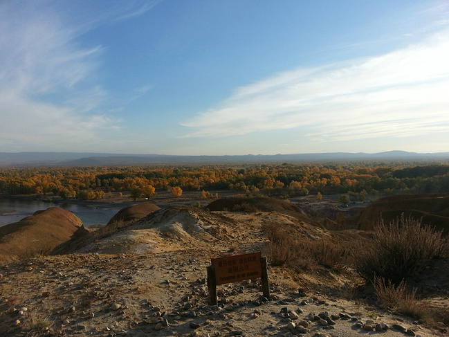 七0后吃货新疆九天自助包车之旅_阿勒泰旅游攻略