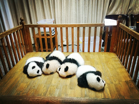 2014大熊猫繁育研究基地_旅游攻略_门票_地址