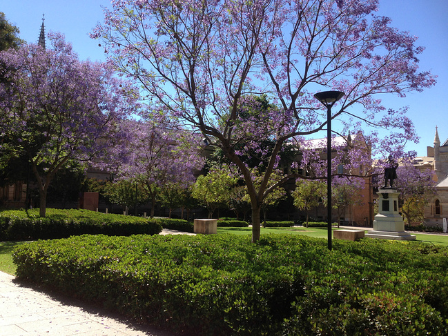 阿德莱德--我的家_阿德莱德旅游攻略