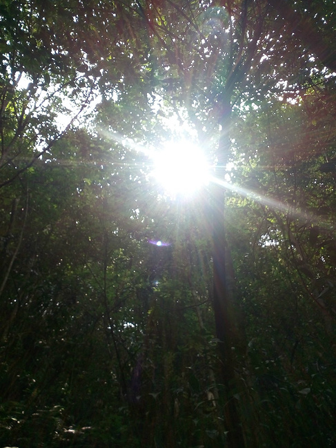 山水诗情,武夷山的悠然二日游_南平旅游攻略