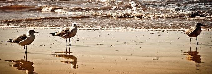 东京、箱根、横滨1日游_箱根旅游攻略