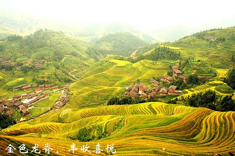 2015桂林旅游攻略,桂林自助游_周边游攻略,桂