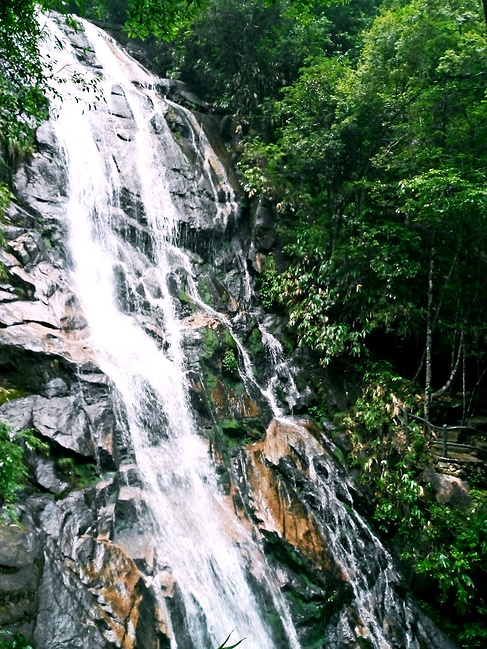 山水诗情,武夷山的悠然二日游_南平旅游攻略