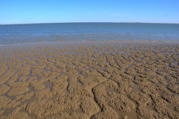 里斯本,一个精致的小城_里斯本旅游攻略