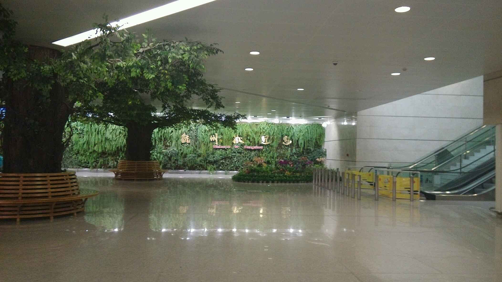 乌镇,杭州,西塘,上海_杭州旅游攻略_自助游攻略攻略逃脱9密室14图片