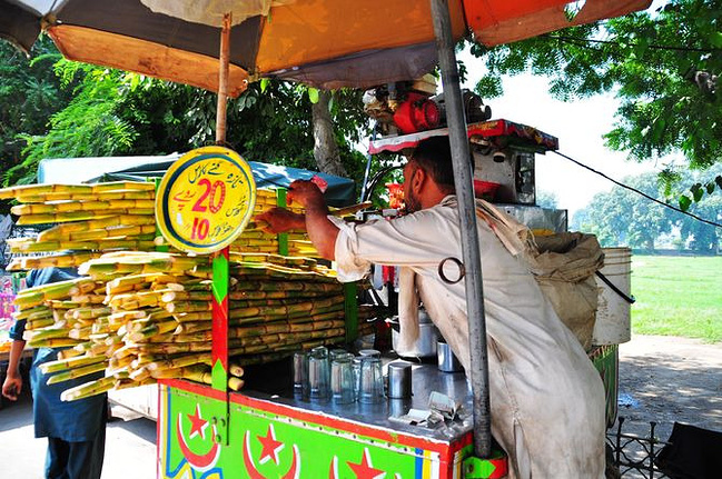 老段的巴基斯坦行记_拉合尔旅游攻略