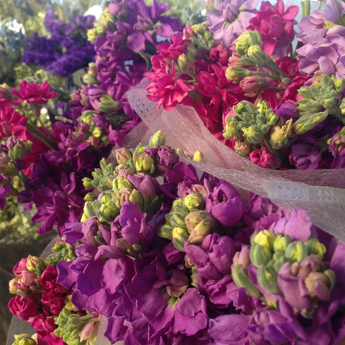 2015斗南花卉市场_旅游攻略_门票_地址_游记