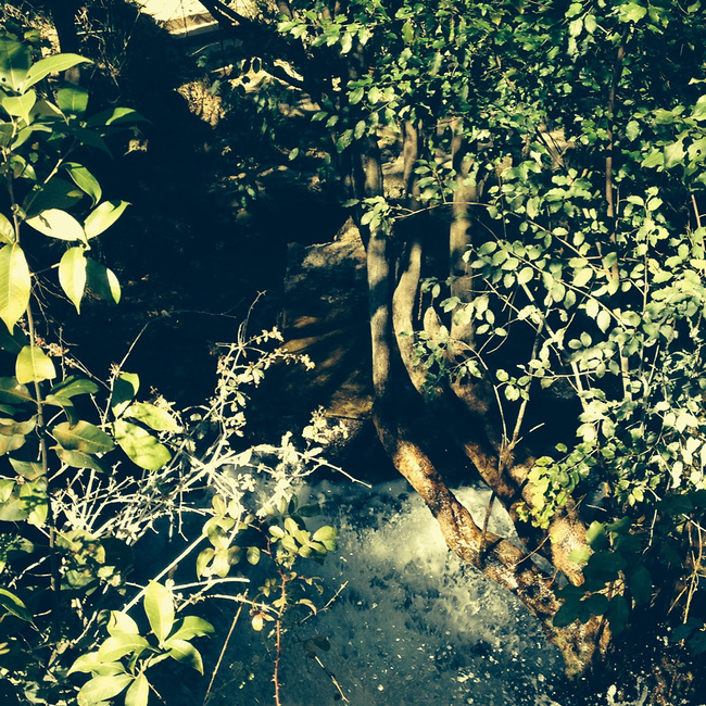 大理四日游_大理旅游攻略_自助游攻略_去哪儿