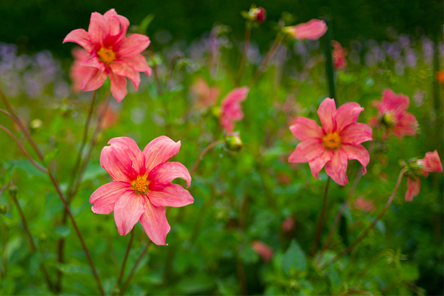新西兰,大洋洲最美丽的国家_基督城旅游攻略