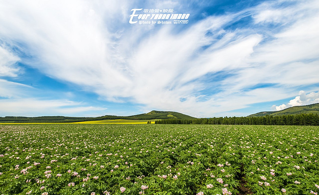 呼伦贝尔大草原歌曲图片_呼伦贝尔大草原歌曲