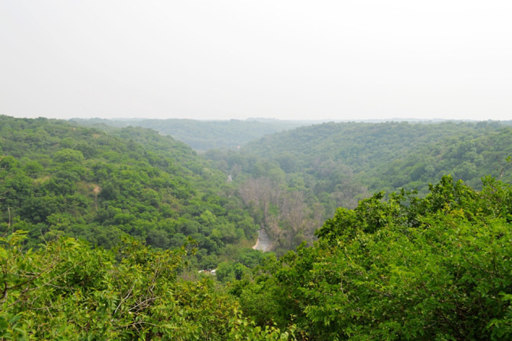 2015大青沟_旅游攻略_门票_地址_游记点评,通