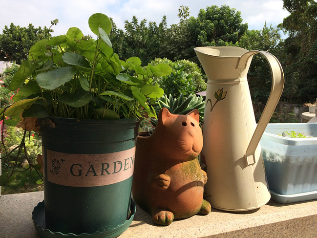 一家三口曾厝埯鼓浪屿_厦门旅游攻略