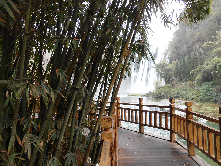 2015三月的黄果树,丝丝细雨后,残留在蜘蛛网上