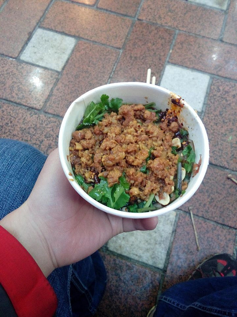 2015年1月成都峨眉山重庆6日游_乐山旅游攻略