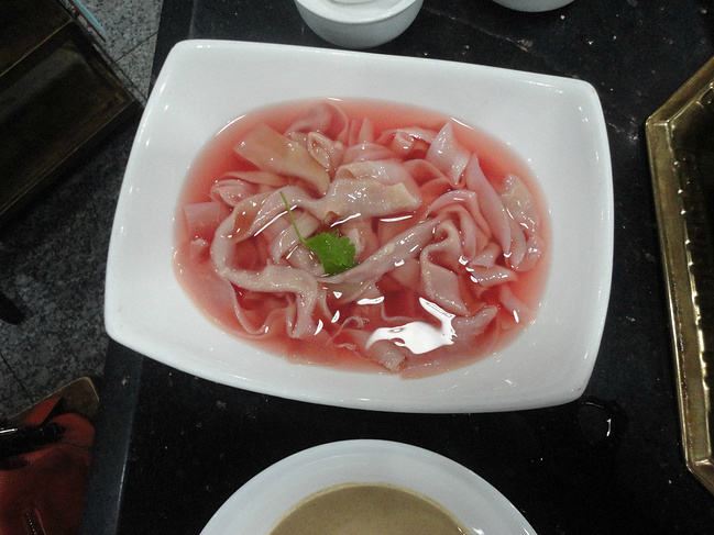 2015年1月成都峨眉山重庆6日游_乐山旅游攻略