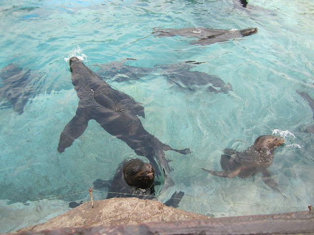 2015第三天早上八点准时出发,直接在高铁站旁