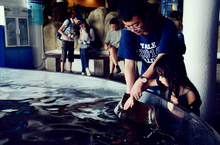 号称亚洲最大海洋生物馆的圣淘沙海底世界其
