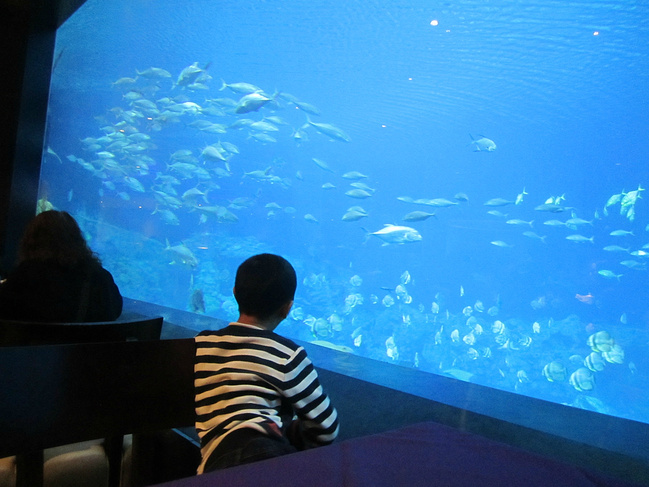 珠澳游,自在行._澳门旅游攻略